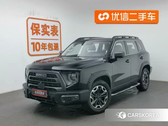 Haval Big dog id 4210520 из Китая 10