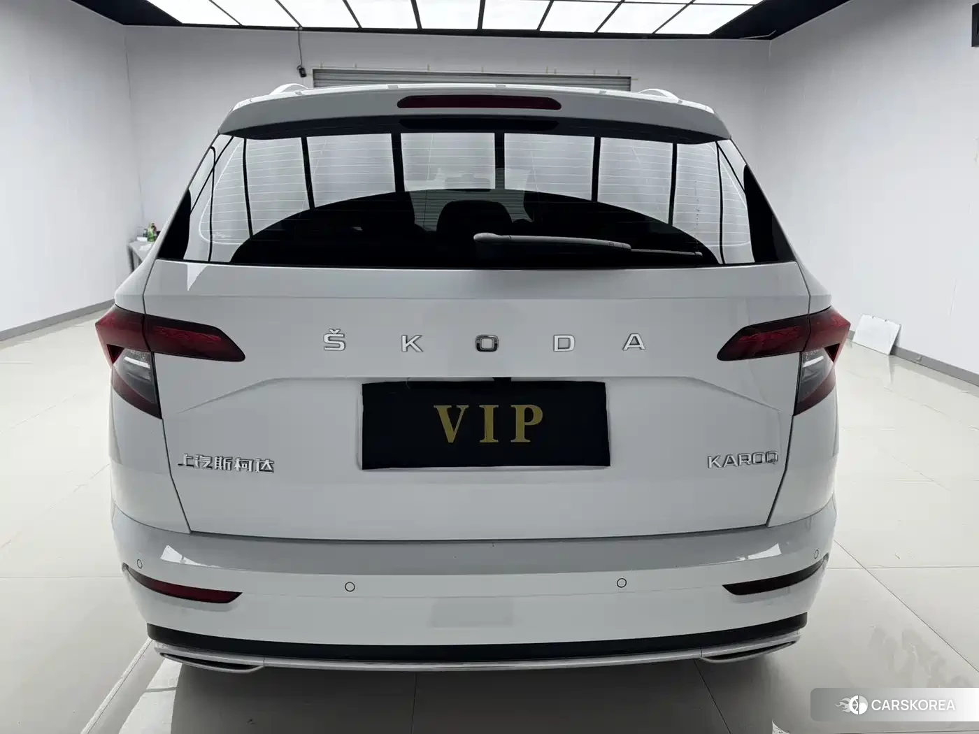 Skoda Karoq id 4601056 из Китая 10