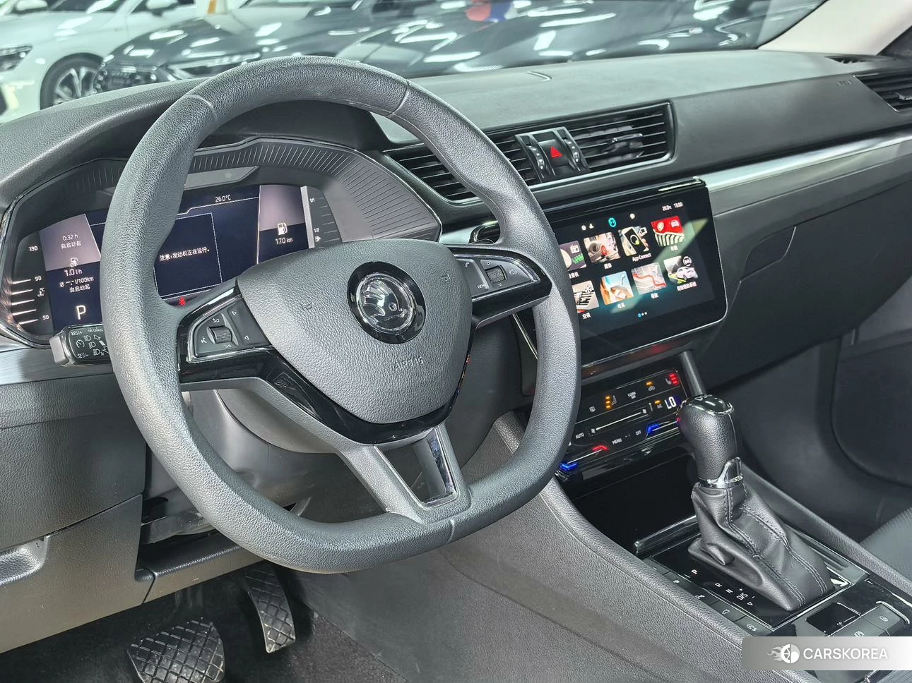 Skoda Speed pie id 4452178 из Китая 10