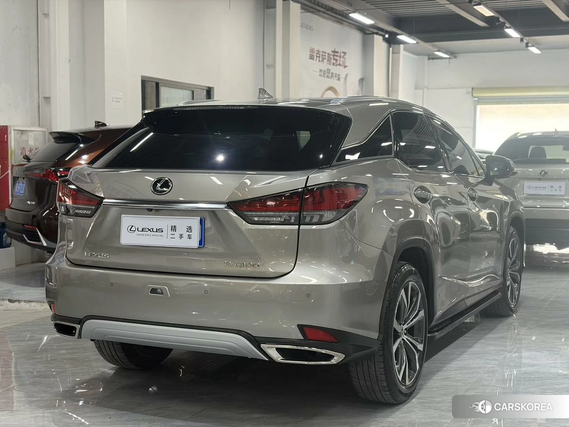 Lexus RX id 4510959 из Китая 9
