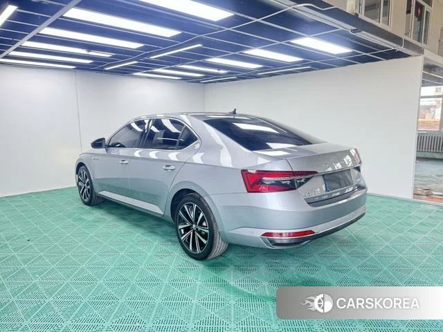 Skoda Speed pie id 4392048 из Китая 10