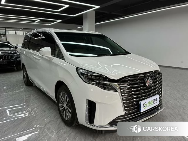 Buick GL8 id 4240282 из Китая 10