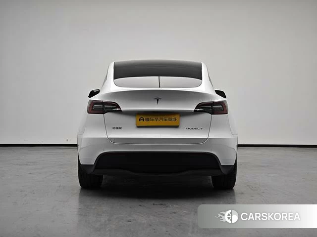 Tesla Model Y id 4209996 из Китая 10