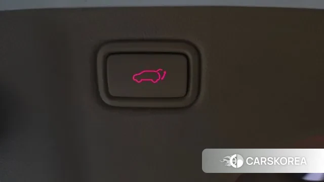 Kia The New Carnival id 3429496 из Кореи 10