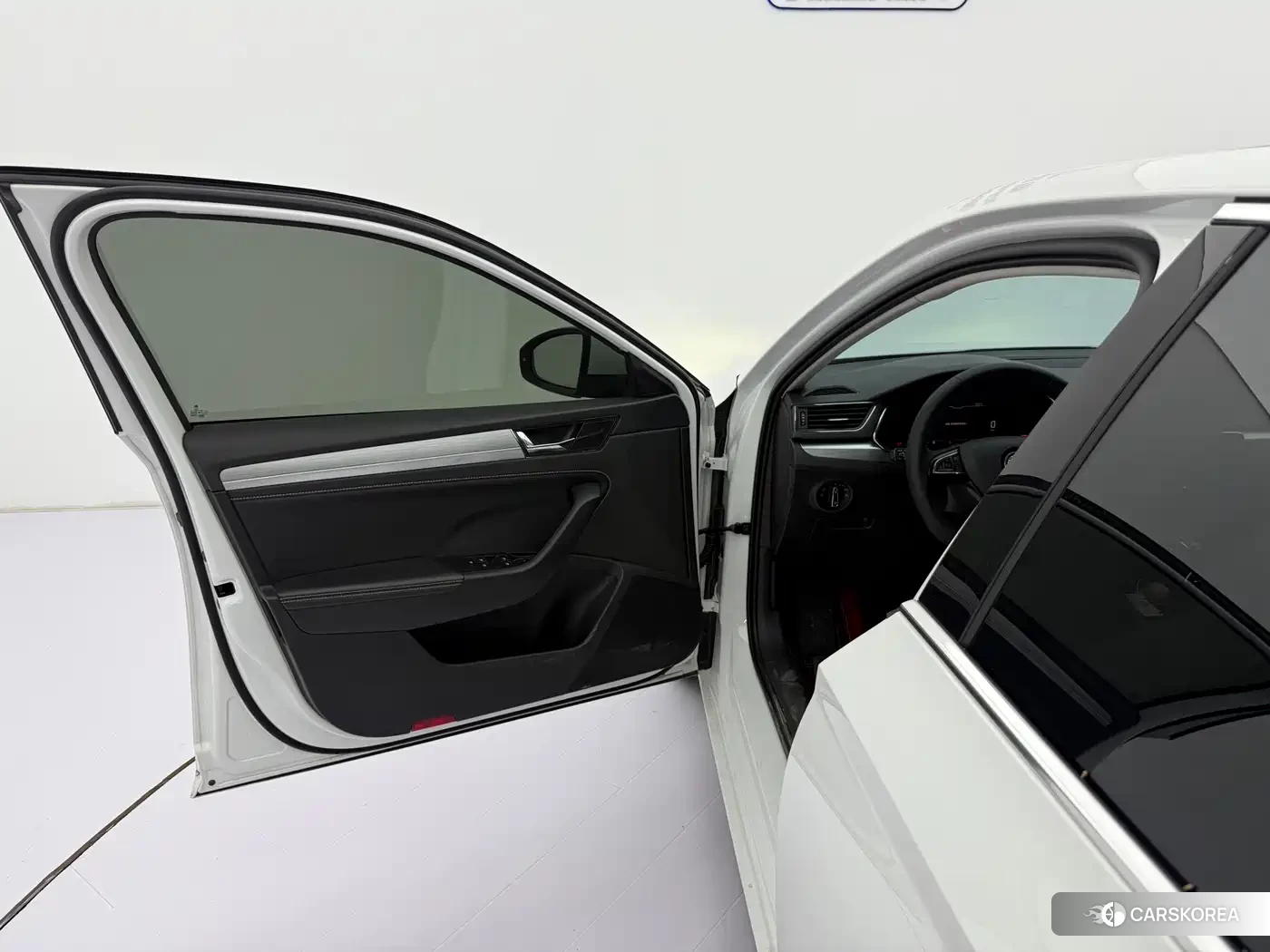 Skoda Speed pie id 4553637 из Китая 10