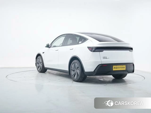 Tesla Model Y id 4199020 из Китая 10
