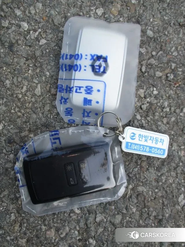 Renault Korea (Samsung) Capture id 3571084 из Кореи 10
