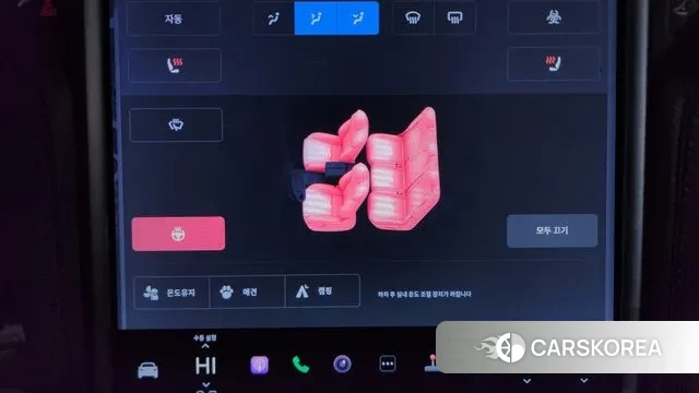 Tesla Model X id 3616830 из Кореи 10