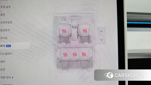 Tesla Model 3 id 3176166 из Кореи 10