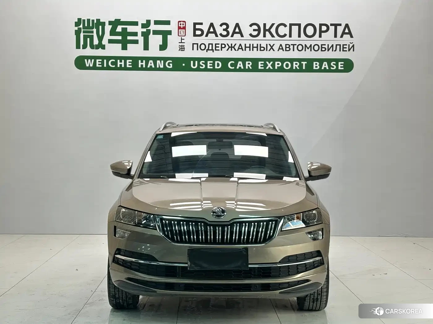 Skoda Karoq id 4601045 из Китая 10