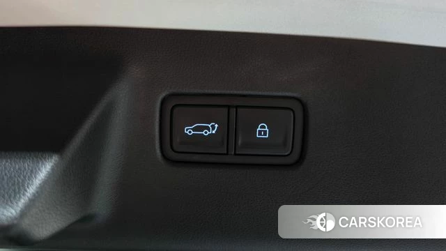 Hyundai Santa Fe (MX5) id 4921419 из Кореи 10