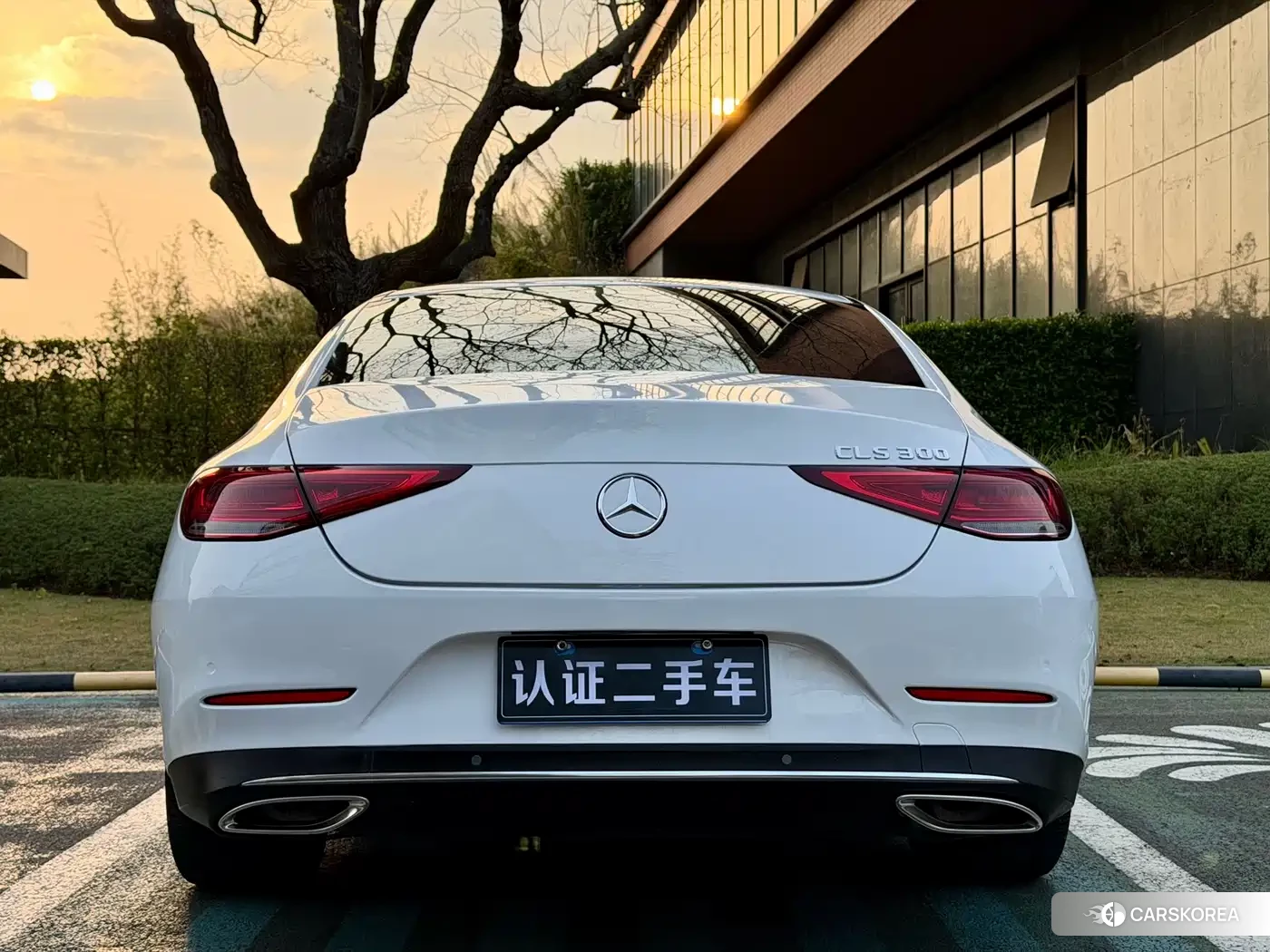 Mercedes-Benz CLS id 4576814 из Китая 10