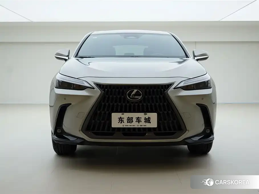Lexus NX id 4539145 из Китая 10