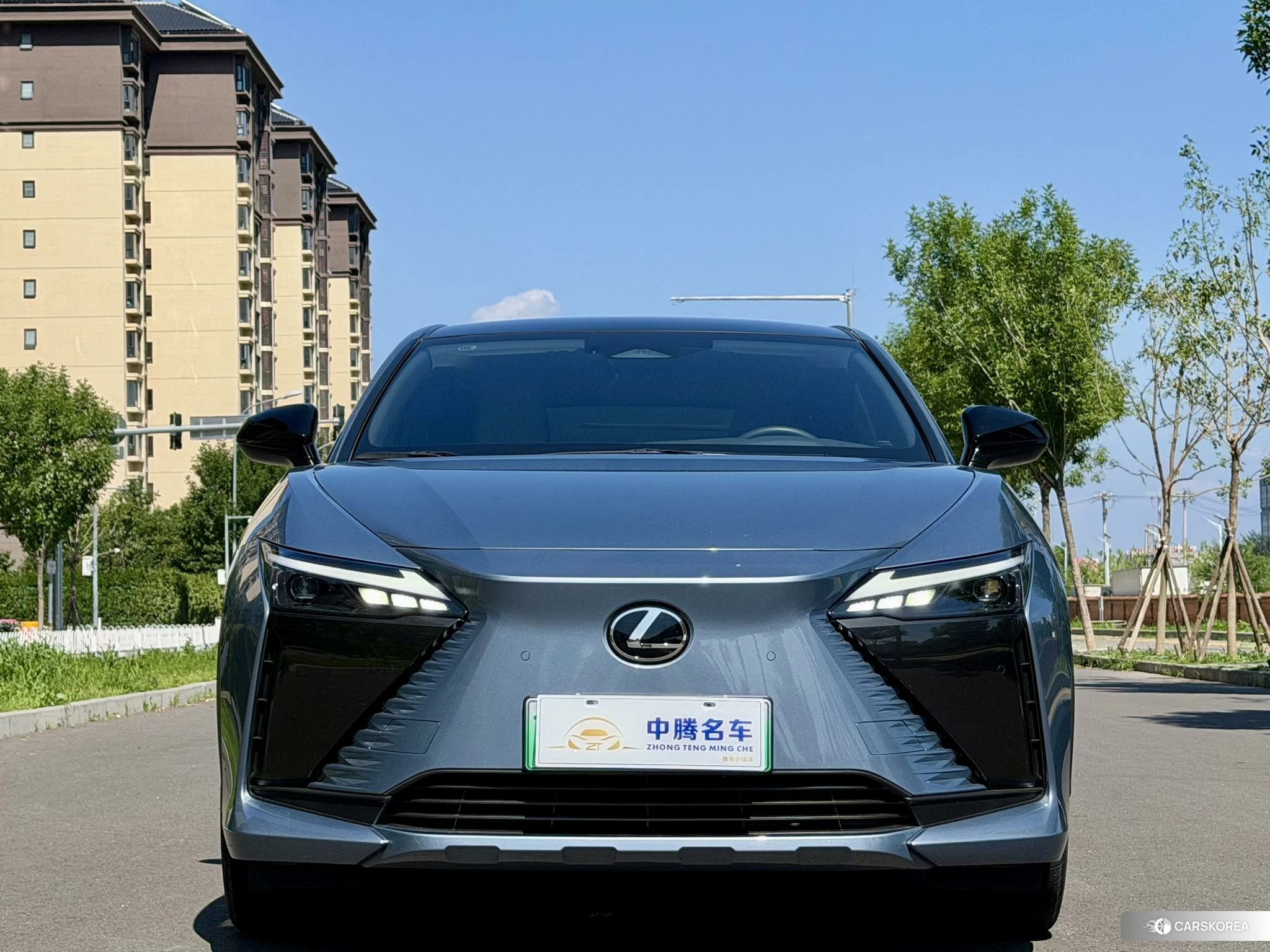 Lexus RZ id 4504988 из Китая 10