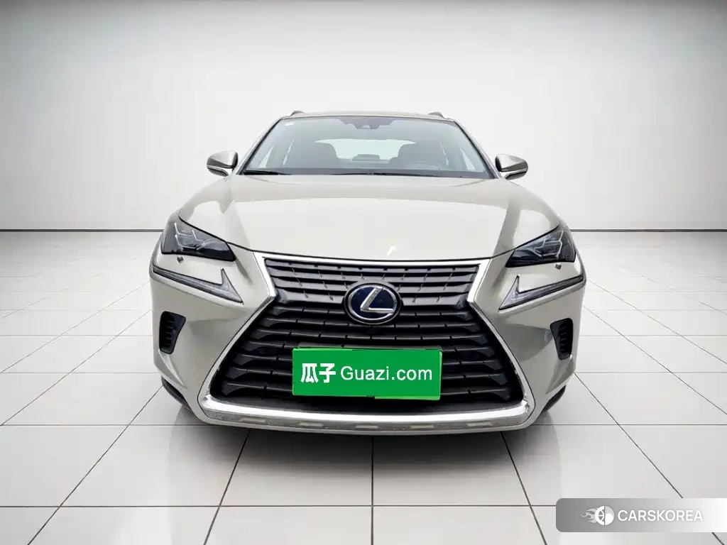 Lexus NX id 4589196 из Китая 10