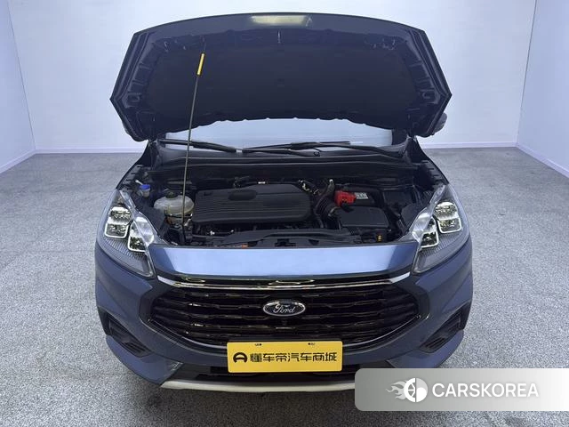 Ford Ruiji id 4241011 из Китая 10
