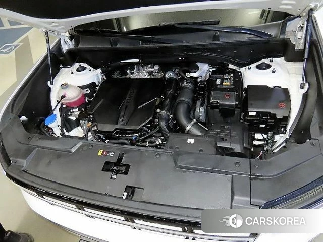 Hyundai Santa Fe (MX5) id 4898135 из Кореи 10