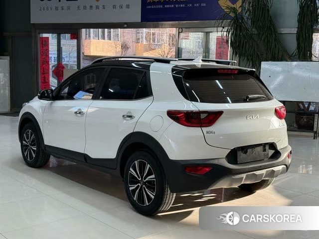Kia Yi Ran id 4367084 из Китая 10