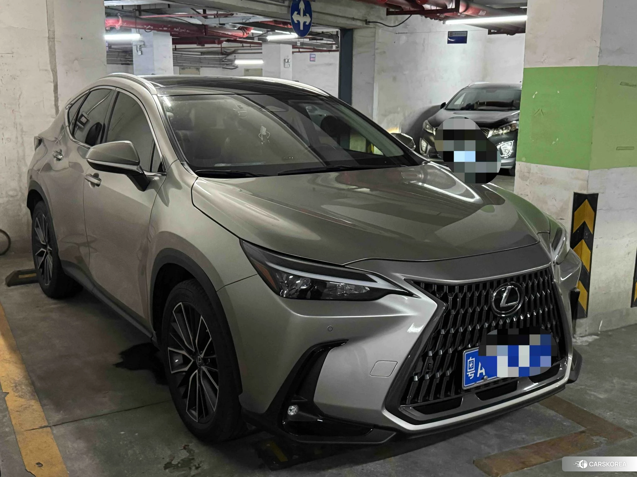 Lexus NX id 4510987 из Китая 10