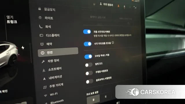 Tesla Model 3 id 3027451 из Кореи 10