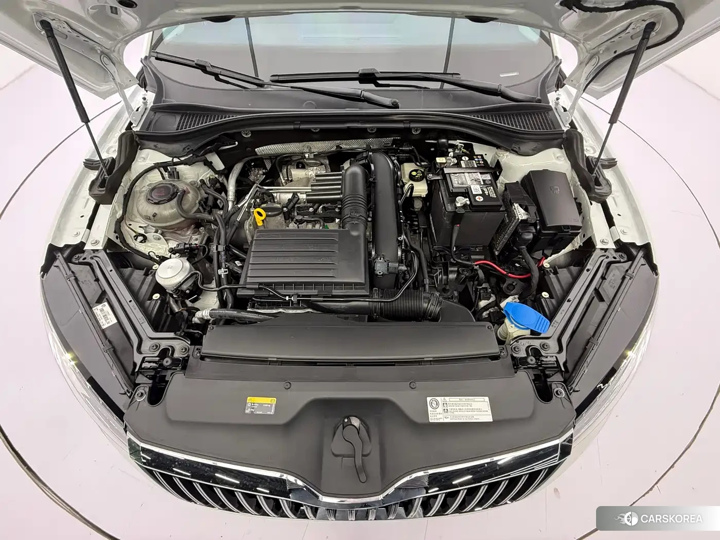 Skoda Speed pie id 4553920 из Китая 10