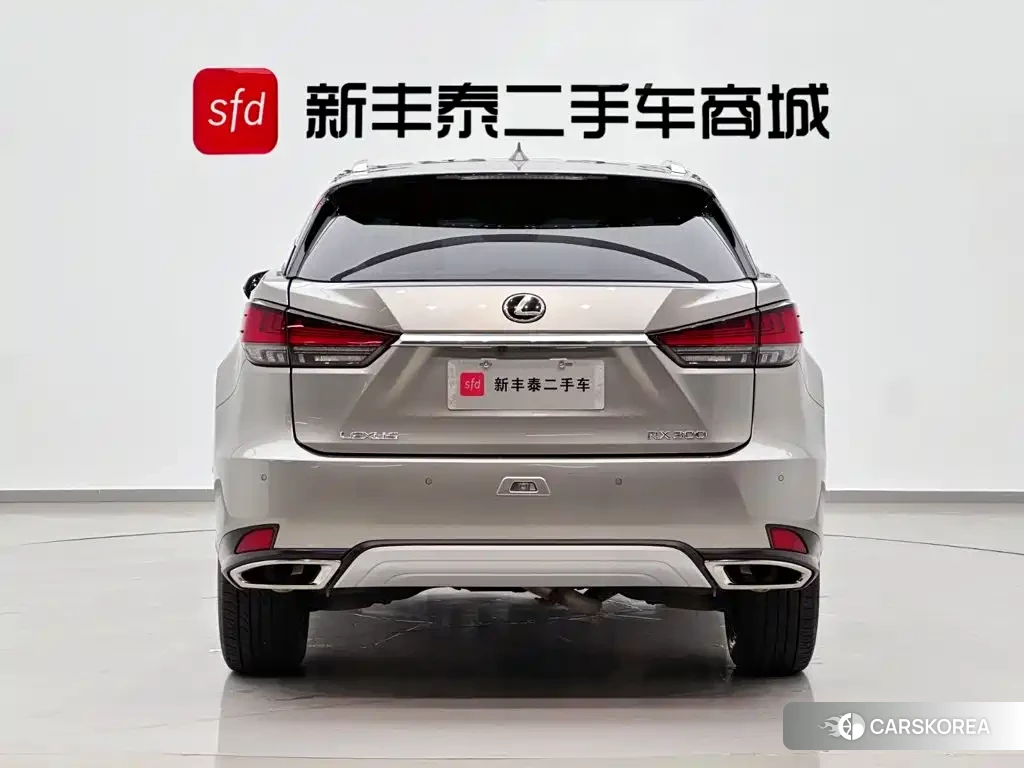 Lexus RX id 4601094 из Китая 10