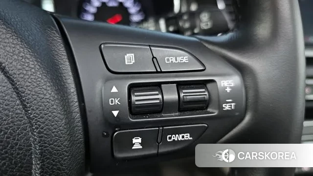 Kia The New Carnival id 3676870 из Кореи 10