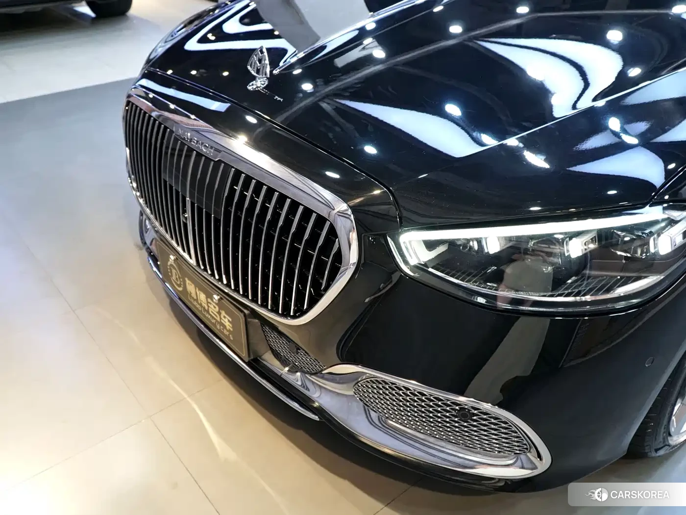 Mercedes-Benz Maybach S-Class id 4601022 из Китая 10