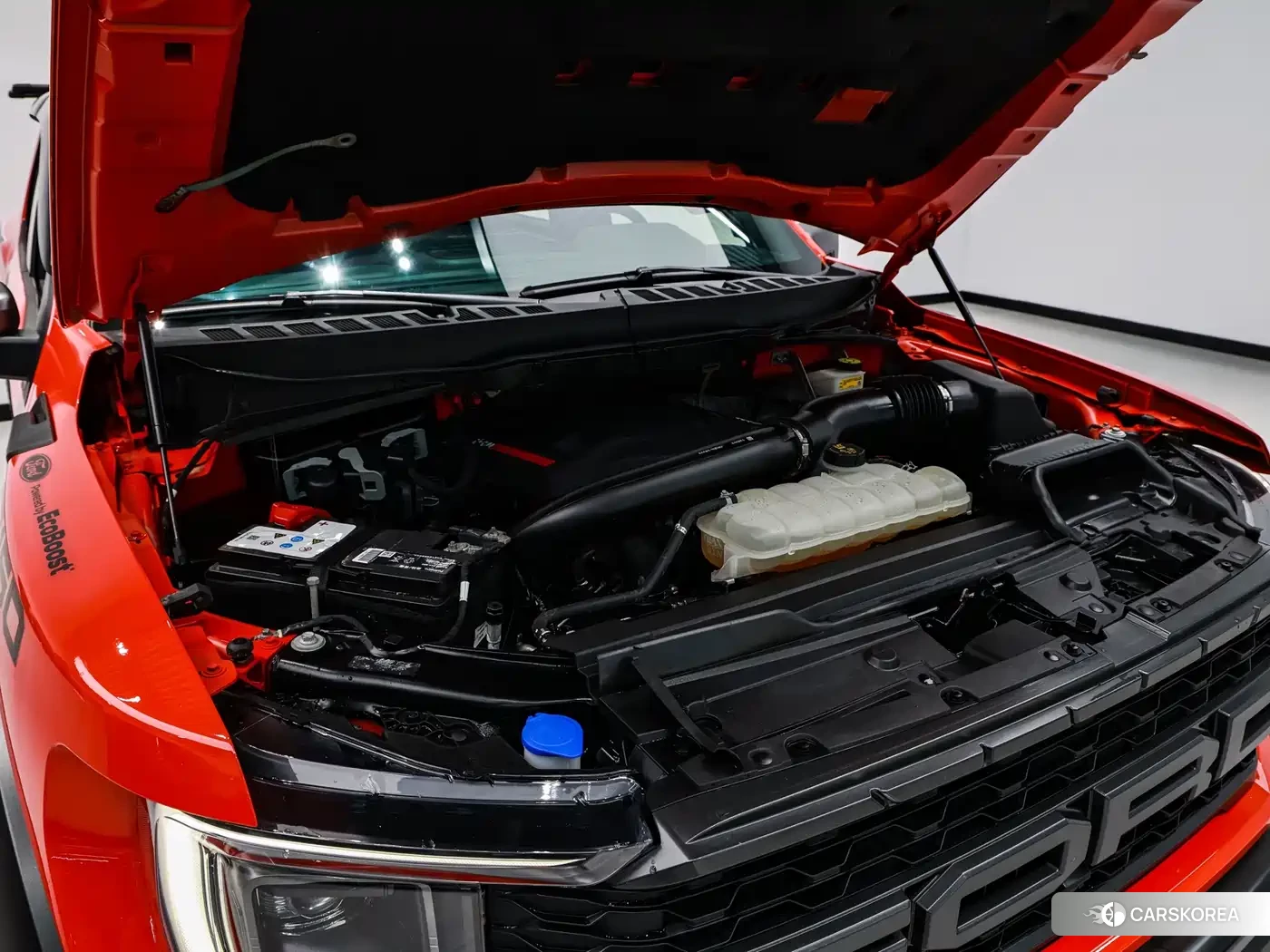 Ford F-150 Raptor id 4570458 из Китая 10