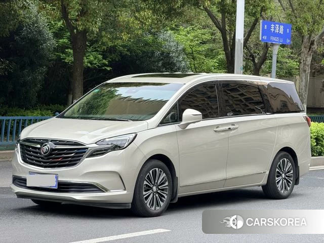 Buick GL8 id 4209937 из Китая 10