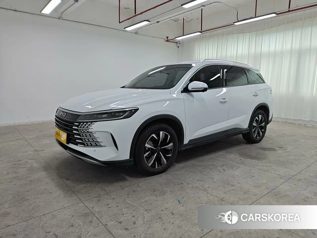 BYD Sea Lion 05DM id 3969098 из Китая 10
