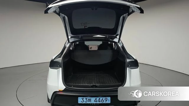 Tesla Model Y id 4612319 из Кореи 10