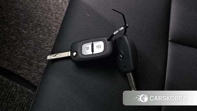 Renault Korea (Samsung) Master id 2958699 из Кореи 10