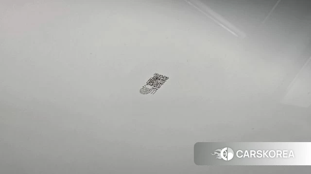 Tesla Model X id 4773968 из Кореи 10
