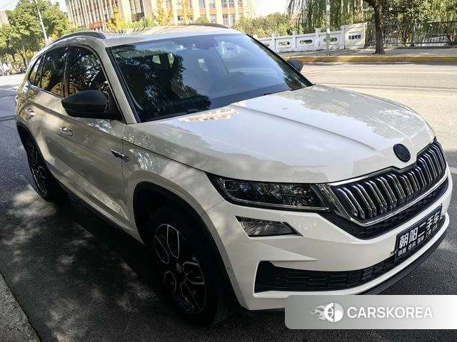 Skoda Kodiak GT id 4219653 из Китая 10