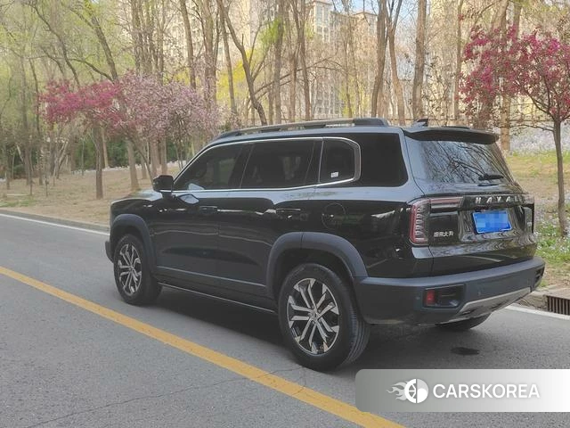 Haval Big dog id 3901824 из Китая 10