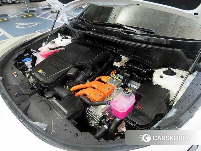 Kia Di Ol Nu Niro id 3915028 из Кореи 10