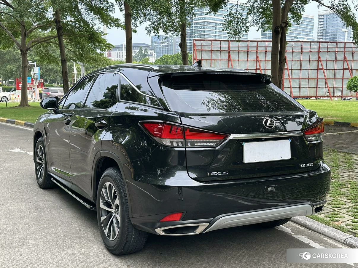Lexus RX id 4499144 из Китая 10
