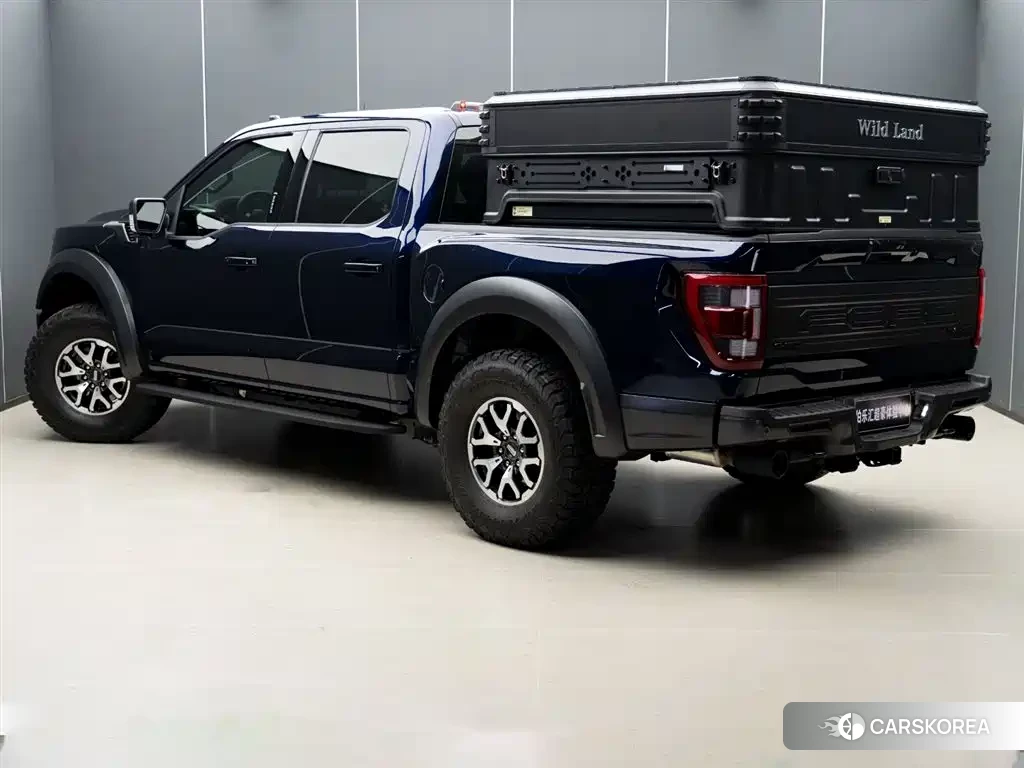 Ford F-150 Raptor id 4547385 из Китая 10