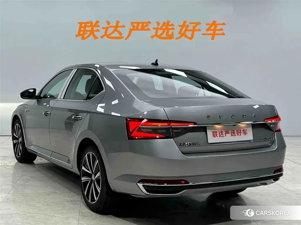 Skoda Speed pie id 4515552 из Китая 10