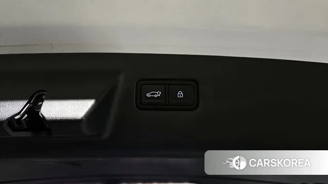 Hyundai Santa Fe (MX5) id 3327637 из Кореи 10