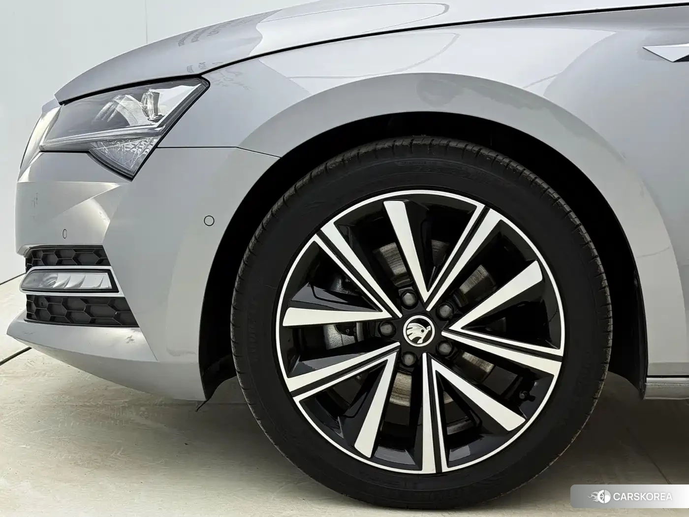 Skoda Speed pie id 4565177 из Китая 10