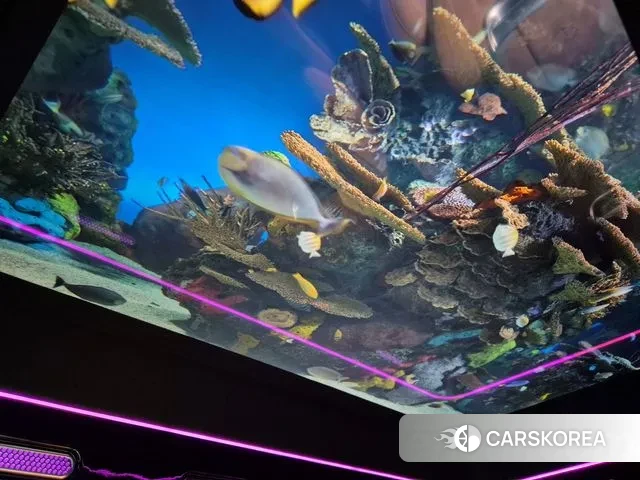 Kia Carnival 4th generation id 3415745 из Кореи 10