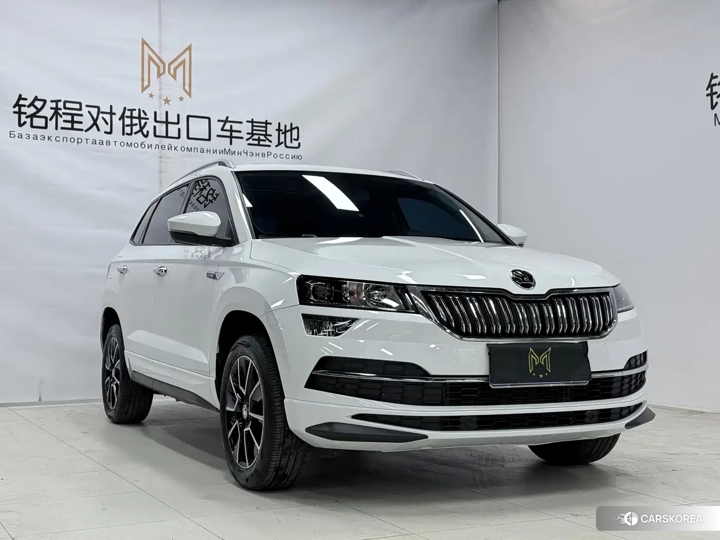 Skoda Krok id 4539010 из Китая 10