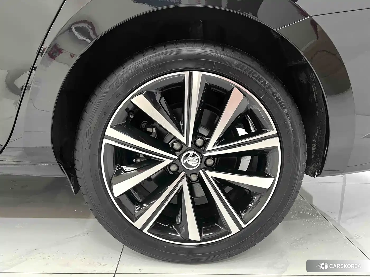 Skoda Speed pie id 4577623 из Китая 10