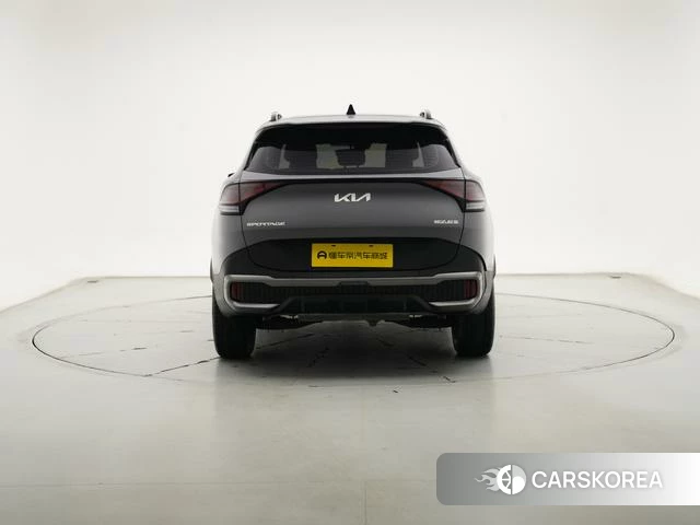 Kia Lion Platinum expands the world id 4259377 из Китая 10