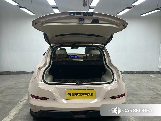 Euler Good cat id 3875987 из Китая 10