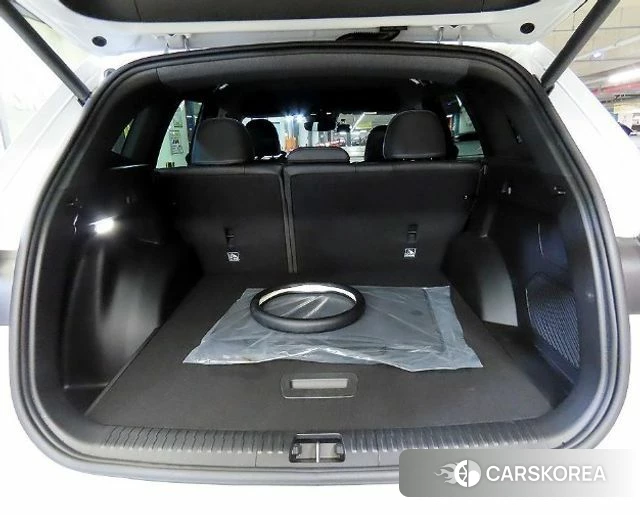 Renault Korea (Samsung) Grand Coleos id 4879674 из Кореи 10