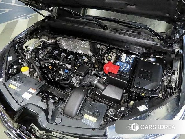 Renault Korea (Samsung) XM3 id 4855817 из Кореи 10