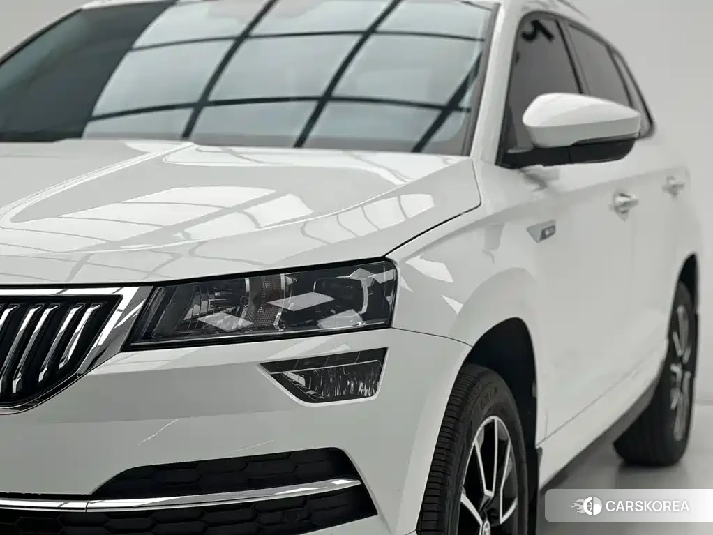 Skoda Karoq id 4680523 из Китая 10